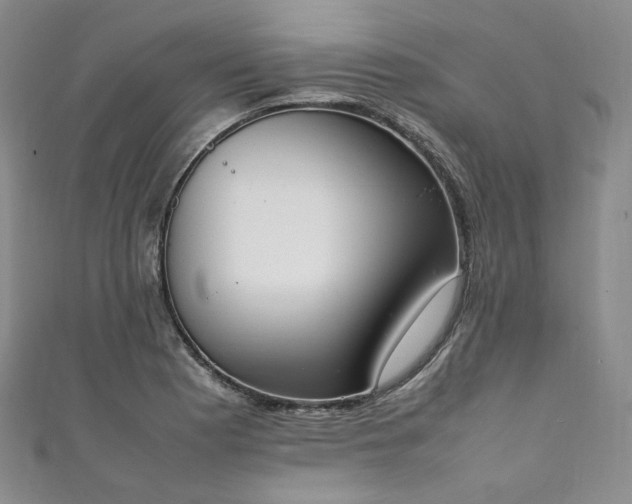 X0000111141177200906301224