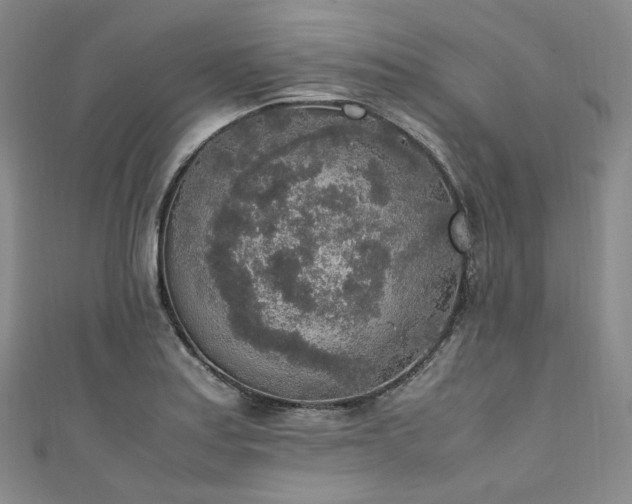 X0000111141179200906301224