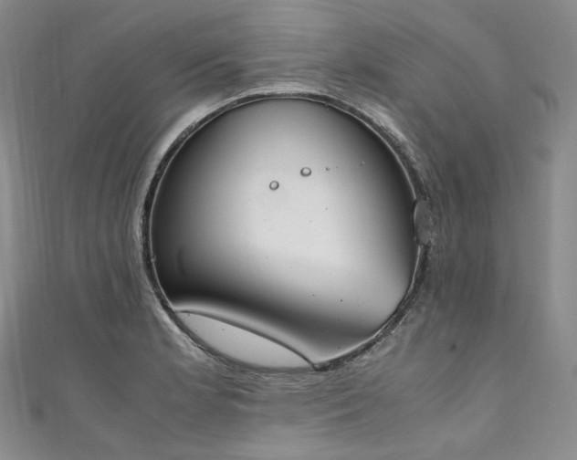 X0000111141181200906301224