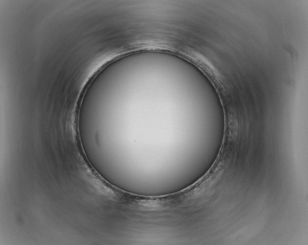 X0000111141182200906301224
