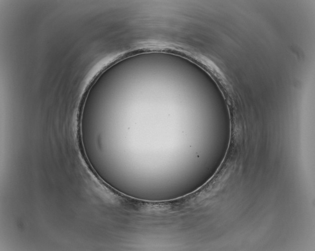 X0000111141183200906301224