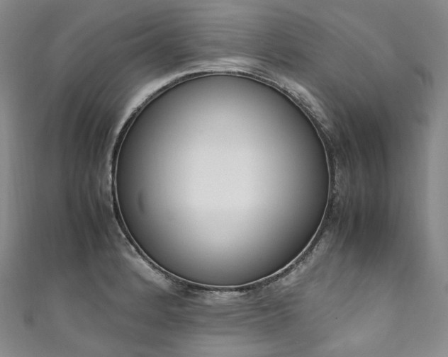 X0000111141184200906301224