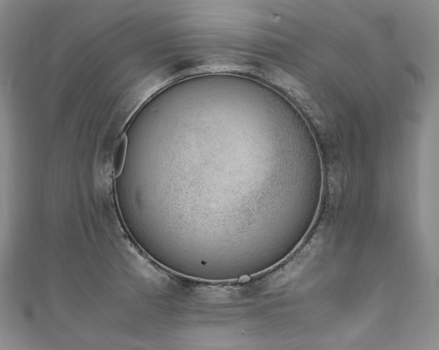 X0000111141185200906301224