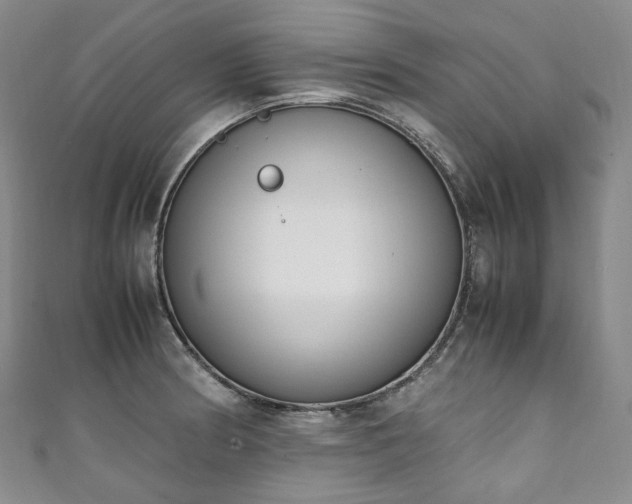X0000111141186200906301224