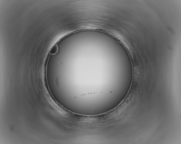 X0000111141187200906301224