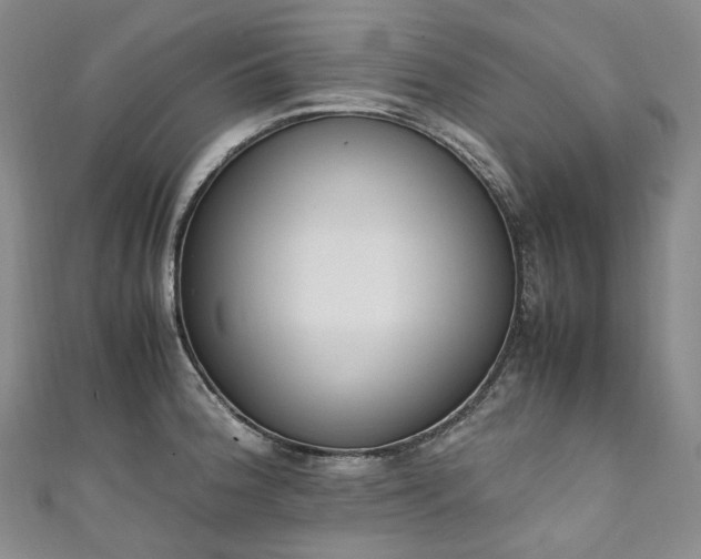 X0000111141188200906301224