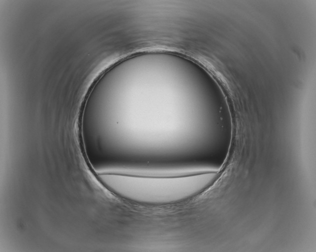 X0000111141189200906301224