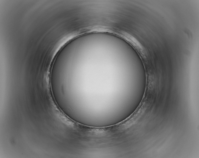 X0000111141190200906301224
