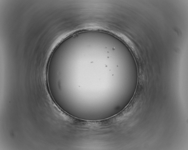 X0000111141191200906301224