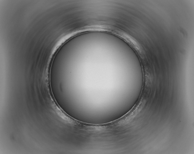 X0000111141192200906301224