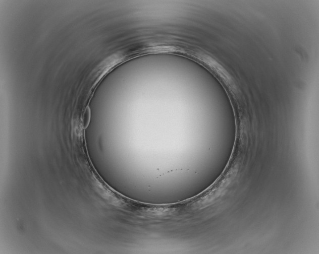 X0000111141193200906301224