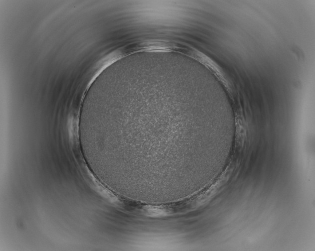 X0000111141194200906301224