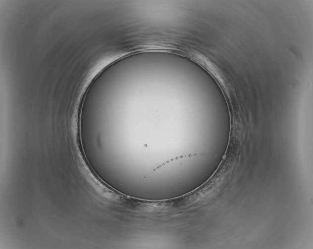 X0000111141195200906301224