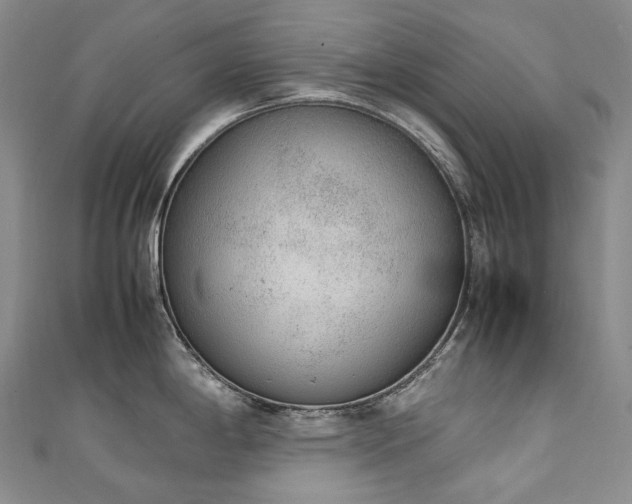 X0000111141198200906301224
