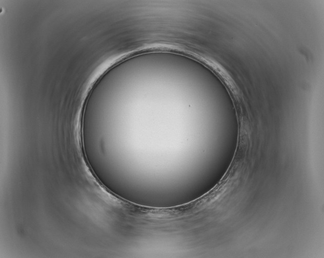 X0000111141199200906301224