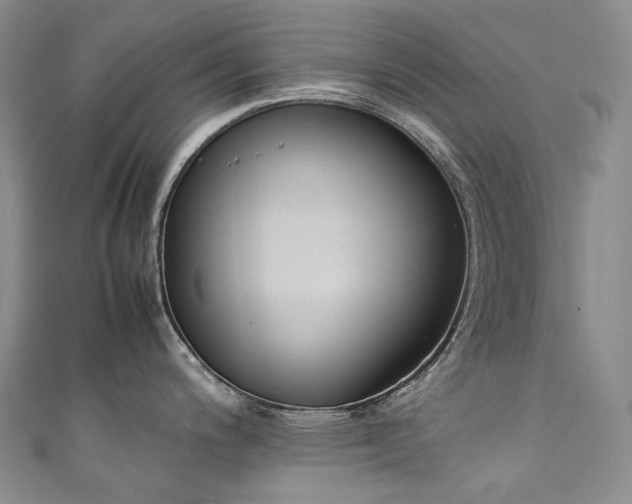X0000111141200200906301224
