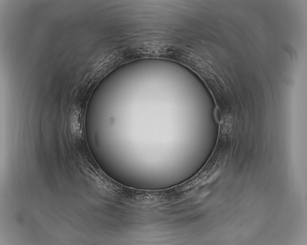 X0000111141202200906301223