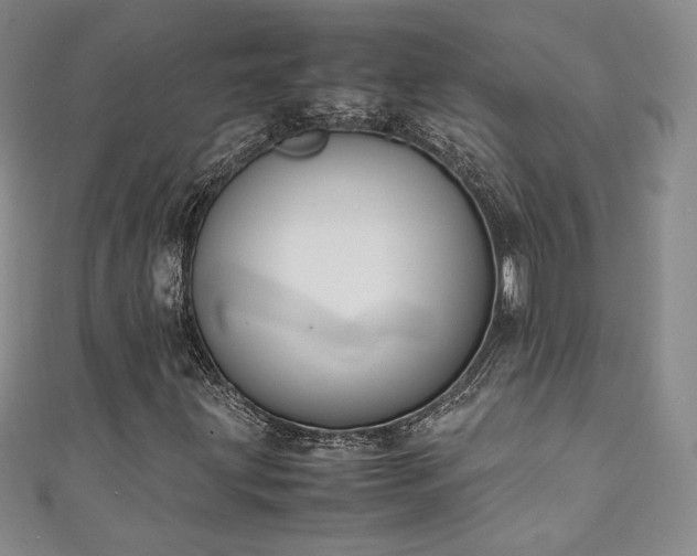 X0000111141203200906301223