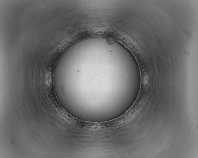 X0000111141204200906301223