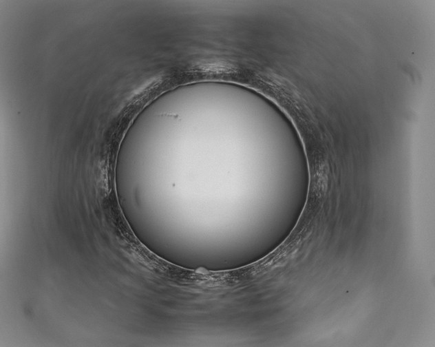X0000111141205200906301223