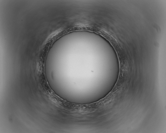 X0000111141207200906301223