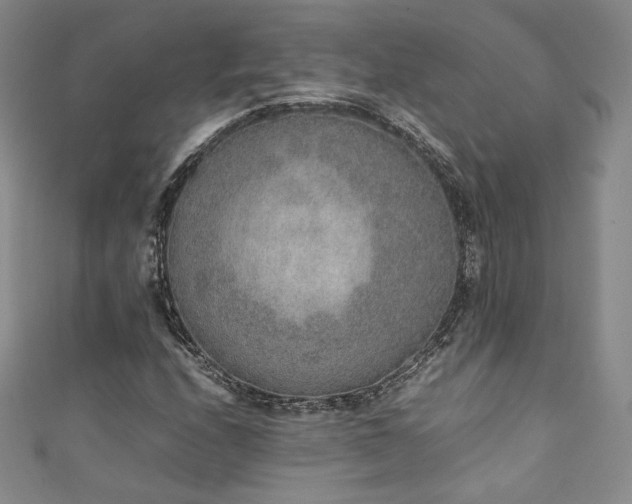 X0000111141208200906301223