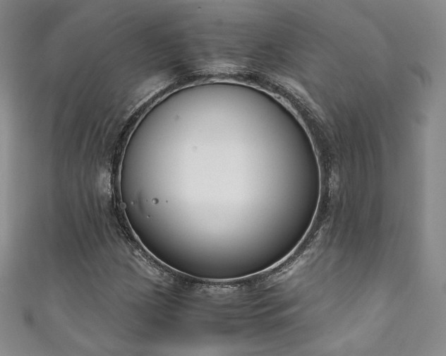 X0000111141209200906301223