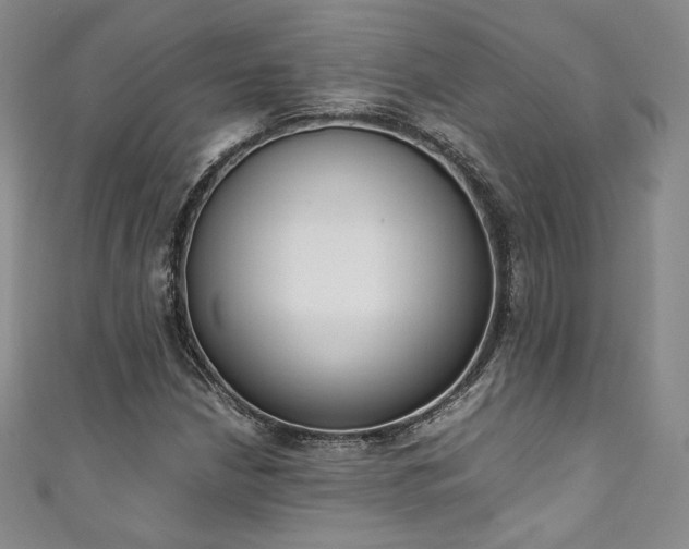 X0000111141210200906301223