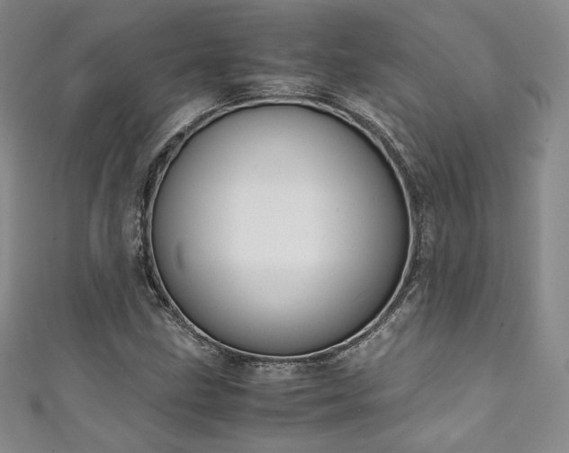 X0000111141211200906301223