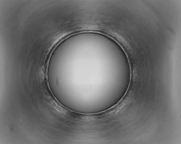 X0000111141212200906301223