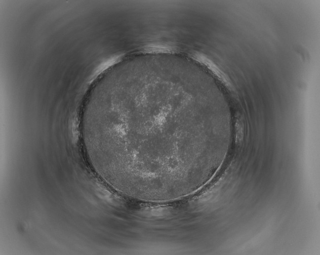 X0000111141213200906301223