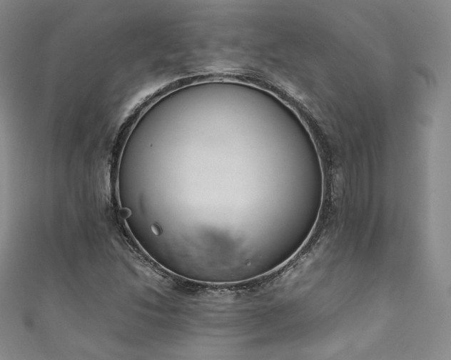 X0000111141214200906301223