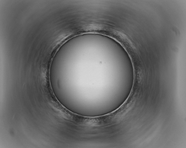 X0000111141217200906301223