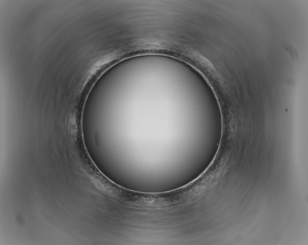 X0000111141218200906301223