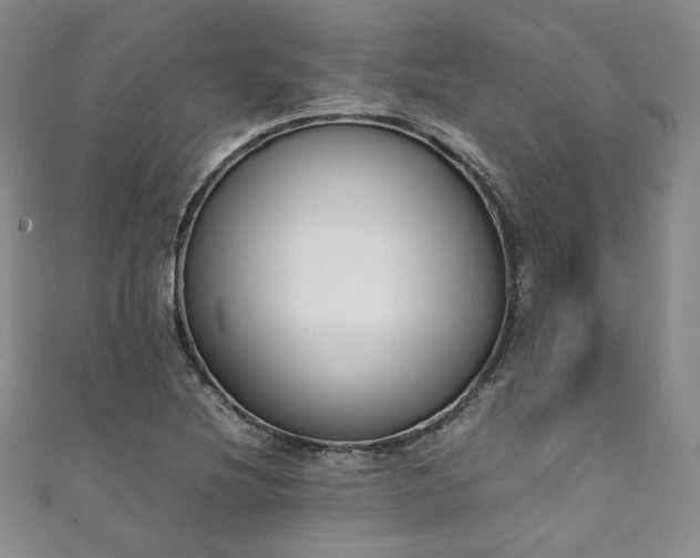 X0000111141220200906301223