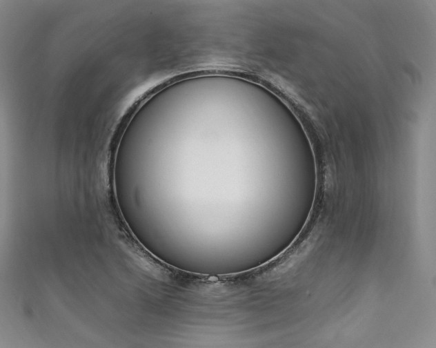 X0000111141222200906301223