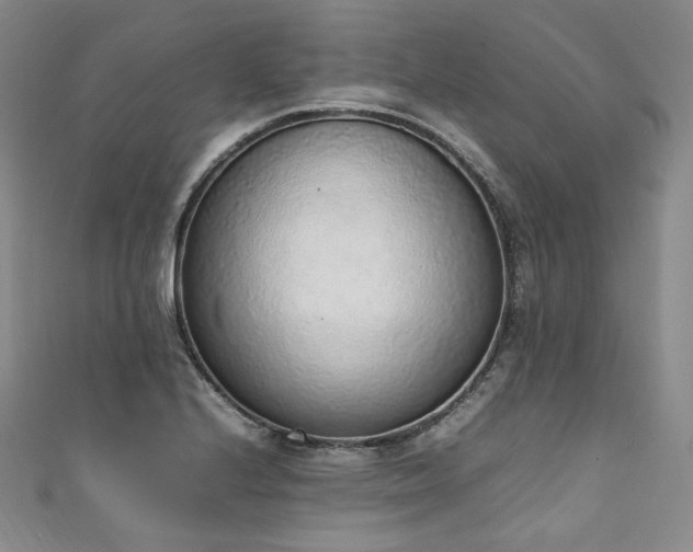 X0000111141224200906301223