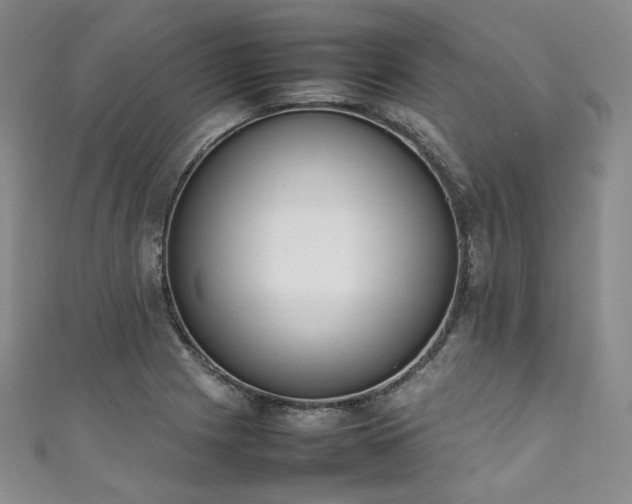 X0000111141225200906301223