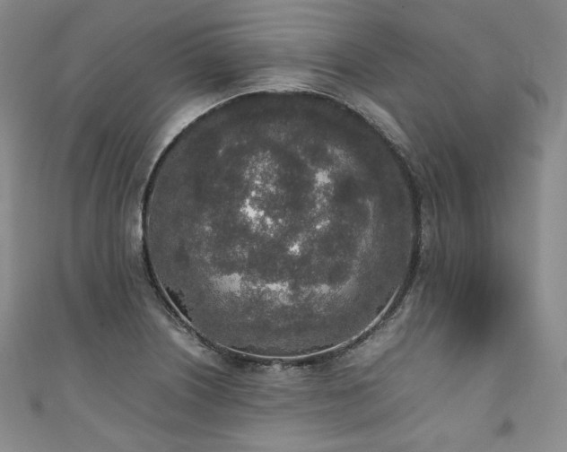 X0000111141226200906301223