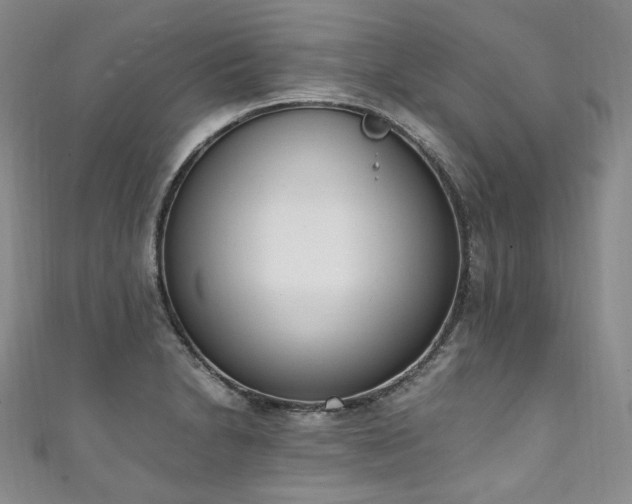 X0000111141230200906301224