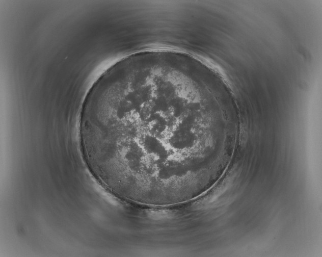 X0000111141231200906301224