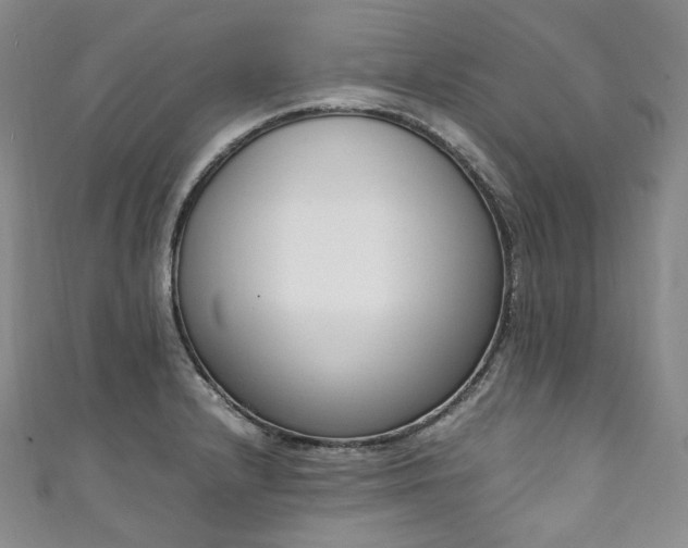 X0000111141232200906301224