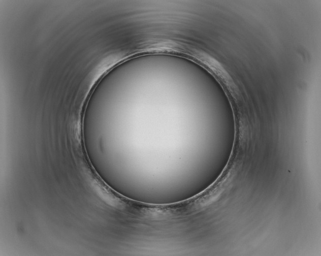 X0000111141234200906301224