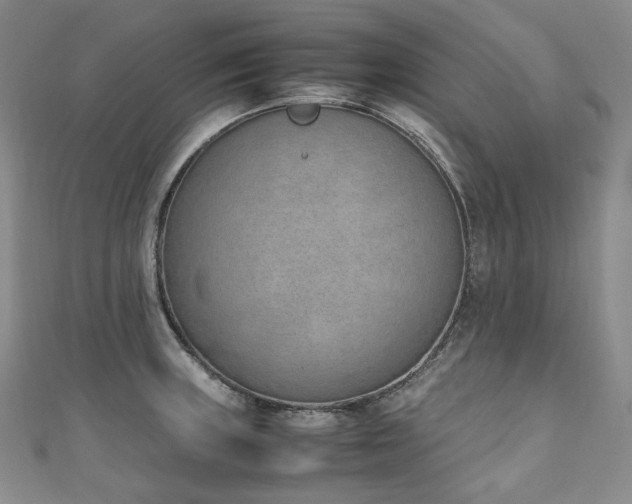 X0000111141235200906301224