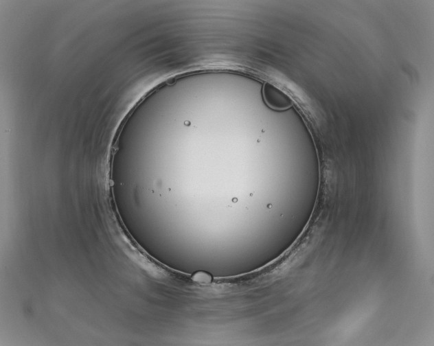 X0000111141236200906301224