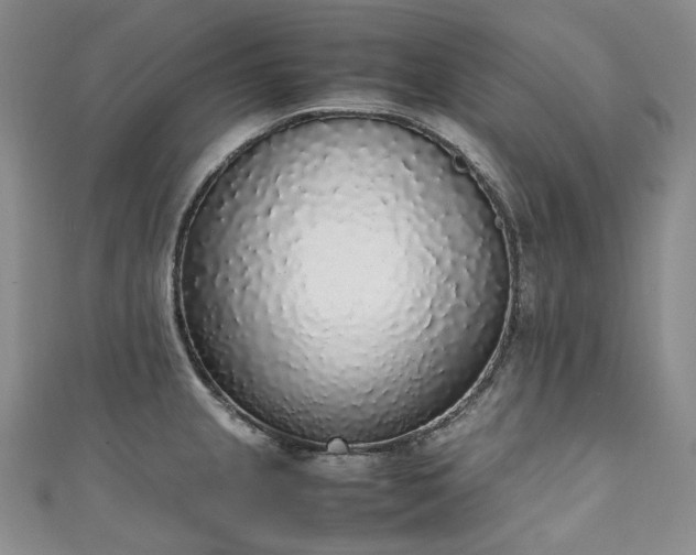 X0000111141237200906301224