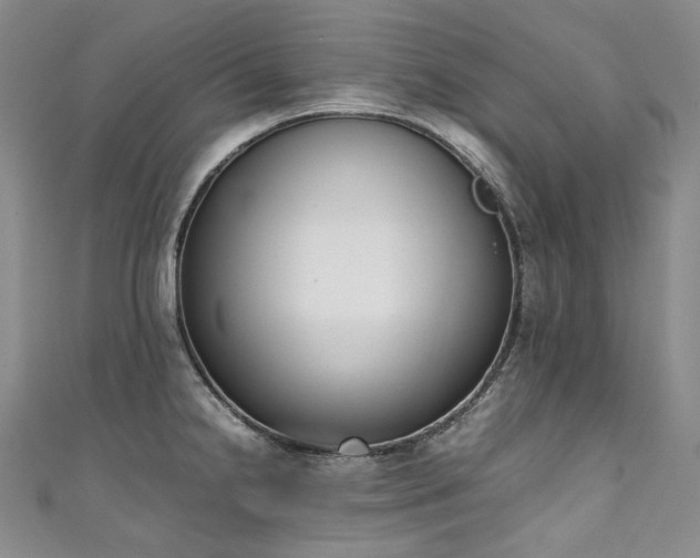 X0000111141238200906301224