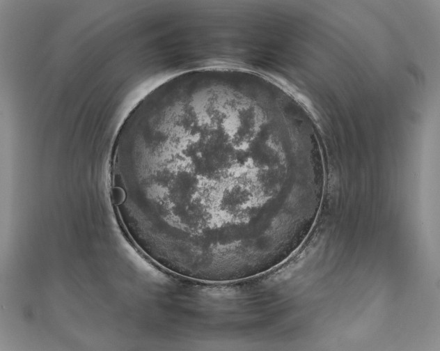 X0000111141239200906301224