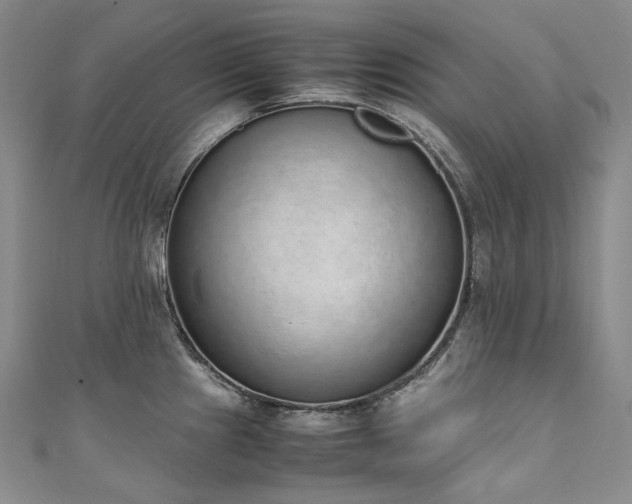 X0000111141241200906301224