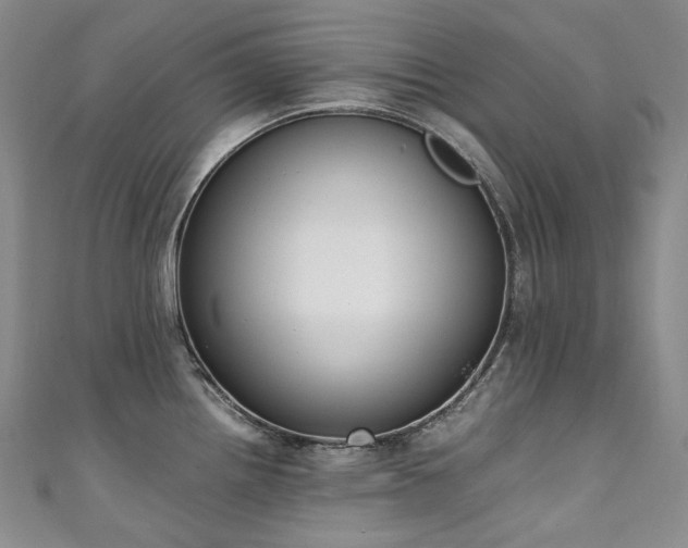 X0000111141242200906301224